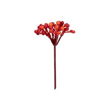 Ilexbær vandfast orange/rød 5 cm